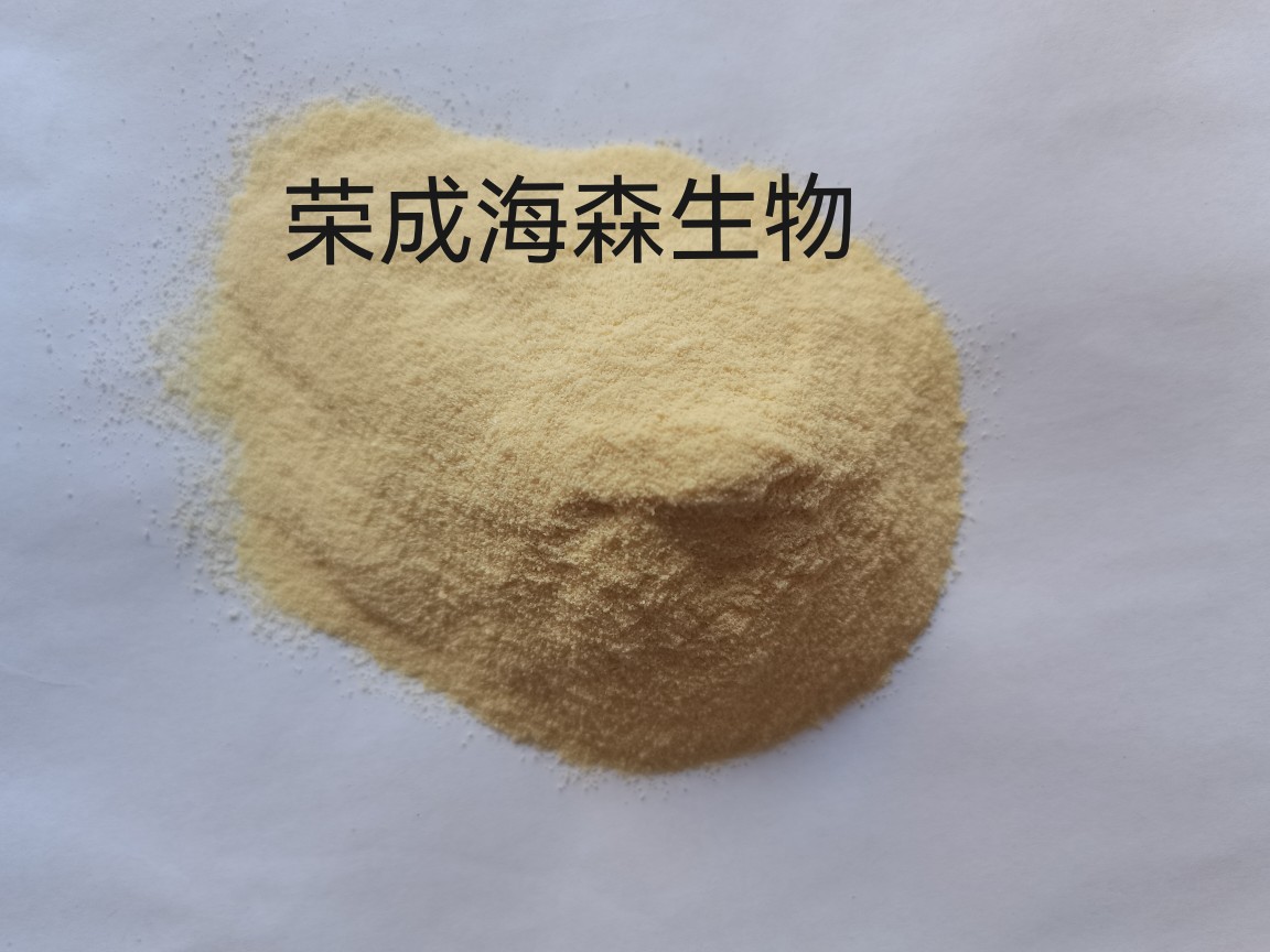 牛骨蛋白胨粉牛骨胶原蛋白肽粉发酵培养基细菌培养基
