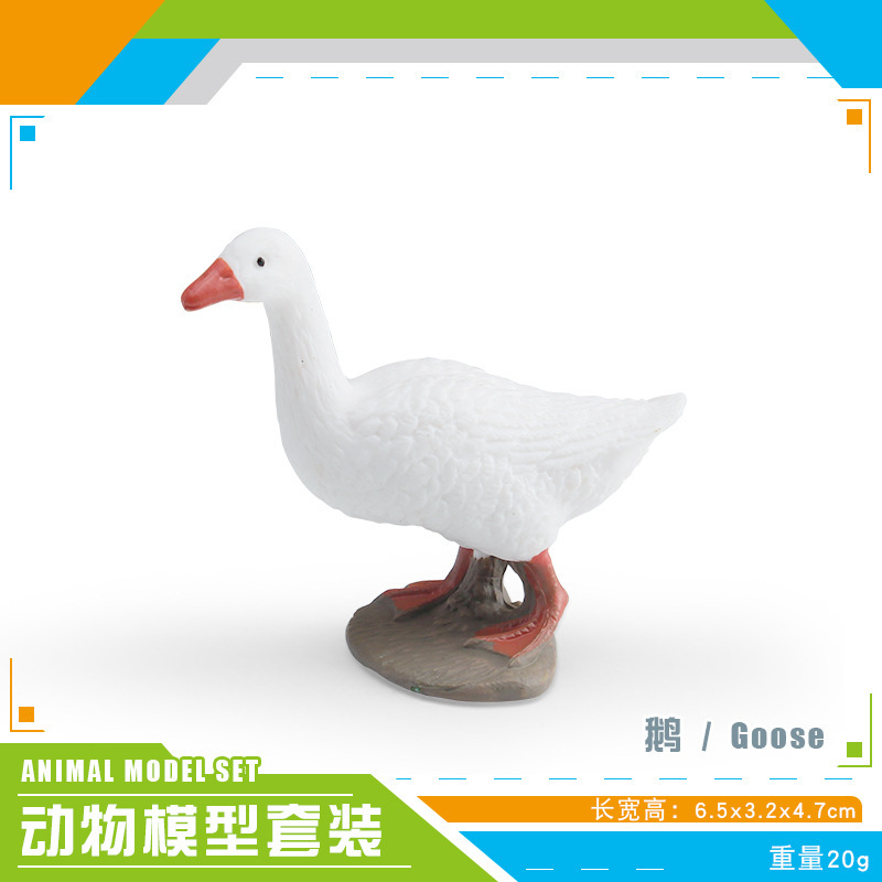 Simulación transfronteriza verruga nariz cisne cisne negro pollos de gallina granja de pollo de corral modelo de decoración ornamentos estáticos