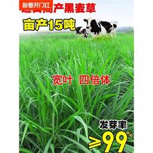 ݷNļݷNιuZţ~׷Nֲ