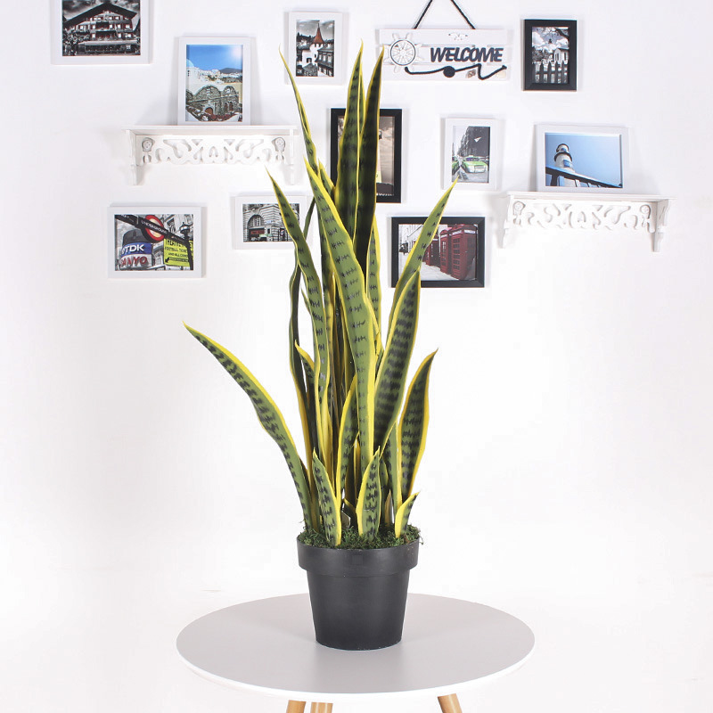 Simulación de borde amarillo tigre Pilan planta en maceta decoración decoración simulación lengua materna exterior Phnom Penh planta verde de hoja alta con maceta tigre Pilan image 4