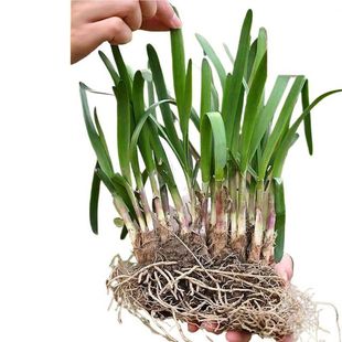 �F���^��ָ������t�²˸��ϸ��²˸��������ļ��̨�����߲���