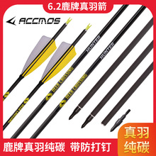 跨境热销鹿标纯碳真羽碳素箭 防打钉尾美猎箭支火鸡真羽碳箭儿童
