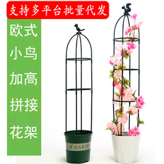 ヨーロッパの園芸の藤の棚の月の季節の花の鉄線の蓮の花の支柱の植物は藤の棚のベランダの山のカメの支えの竿に登ります。