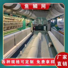 ���l21֧�~�W������������ 4��~�[�W�����Ӄ�đ�W�����W������