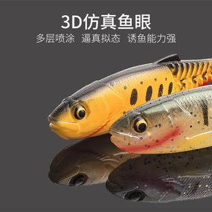 ����·���羳���l�ʔ_��Tβ�������������D·���~�M�D�������l
