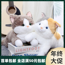 ������ؐſſ؈ë�q��߿ɐ�С؈�乫�Ѓ�ͯ˯�X����Ů�����նY��