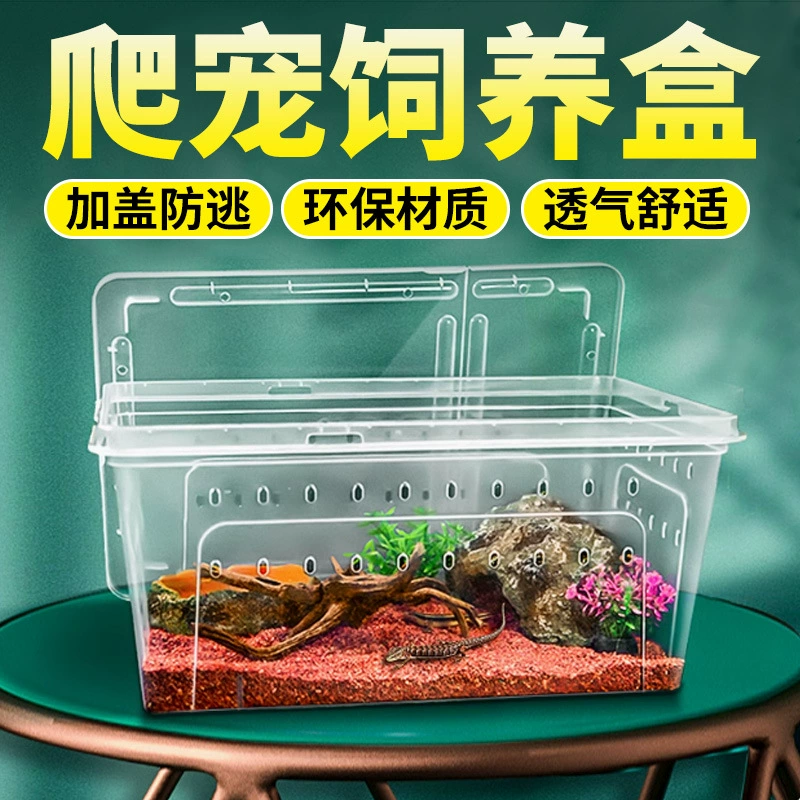Коробка для разведения паука Ползать домашняя коробка для озарения тутового шелкопряда детское насекомое термотор коробка для разведения скорпиона дождевого леса Коробка для зимней спячки черепахи