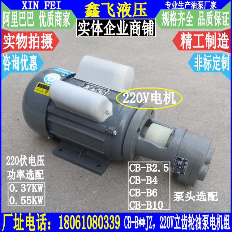 YL双电容单相异步电动机 铝壳220V电机370W 550W齿轮泵电机组
