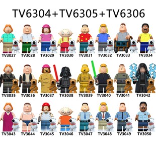 Foreign trade goods TV6304/6305/6306 animated series spoofing a family of Peter assembled building block doll toys
