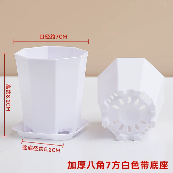 [7x7CM加厚八角七方白色+底座]