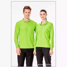 �ʹ����w�S����L�䷭�IPOLO���̽�������ՆT������T��S��ӡ��