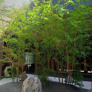 ���Ӽ�ˮ��ë���҃��b����������L�����b�ֲ��������쾰