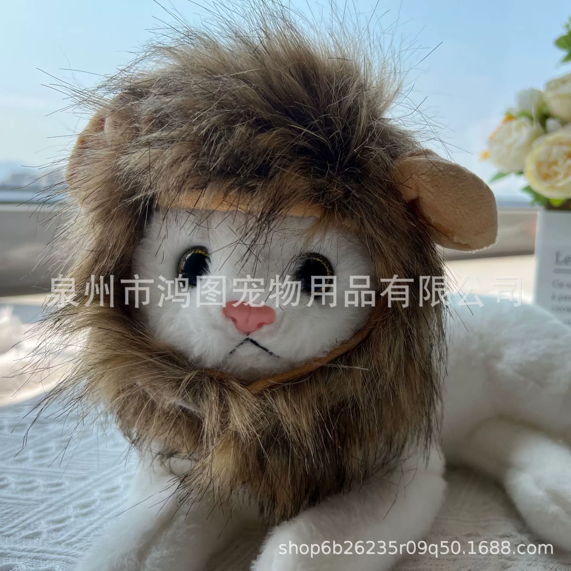 Новый трансграничный кошачий головной убор