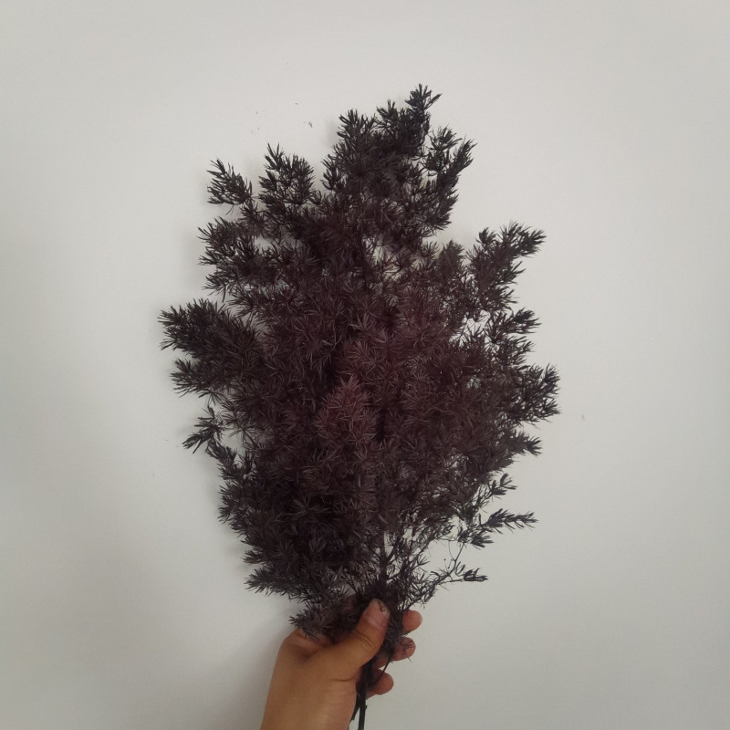 블랙(85-105)-드라이플라워백