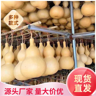 新品天然葫芦大中小号客厅卧室办公室摆件八宝压腰挂件真葫芦龙头
