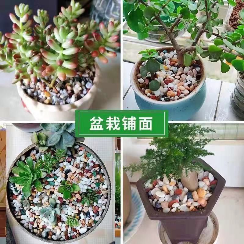 90e1cb72421ea2d52b5256c926ca7f