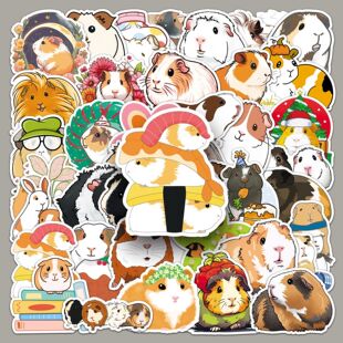 51�������N����ͨ������������m�i��ˮ�b����������~�Pӛ���N��