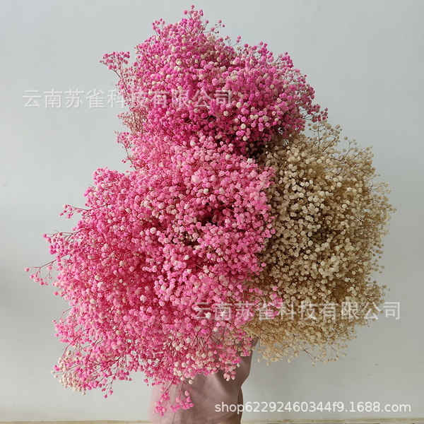Wholesale Yunnan Ganhua Eternal Flower Flowers Di Flower DIY Bouquet…
