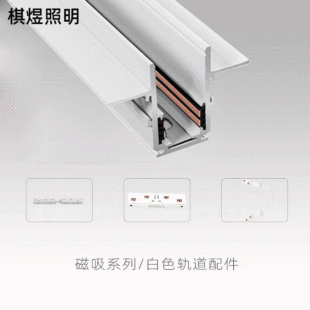 White embedded dark mounted light mounted embedded lifting magnetic track accessories 48v100W power supply 200W power supply