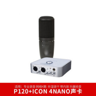 AKG /�ۿƼ�P120���I��������������L�W�jK���������ԒͲ����