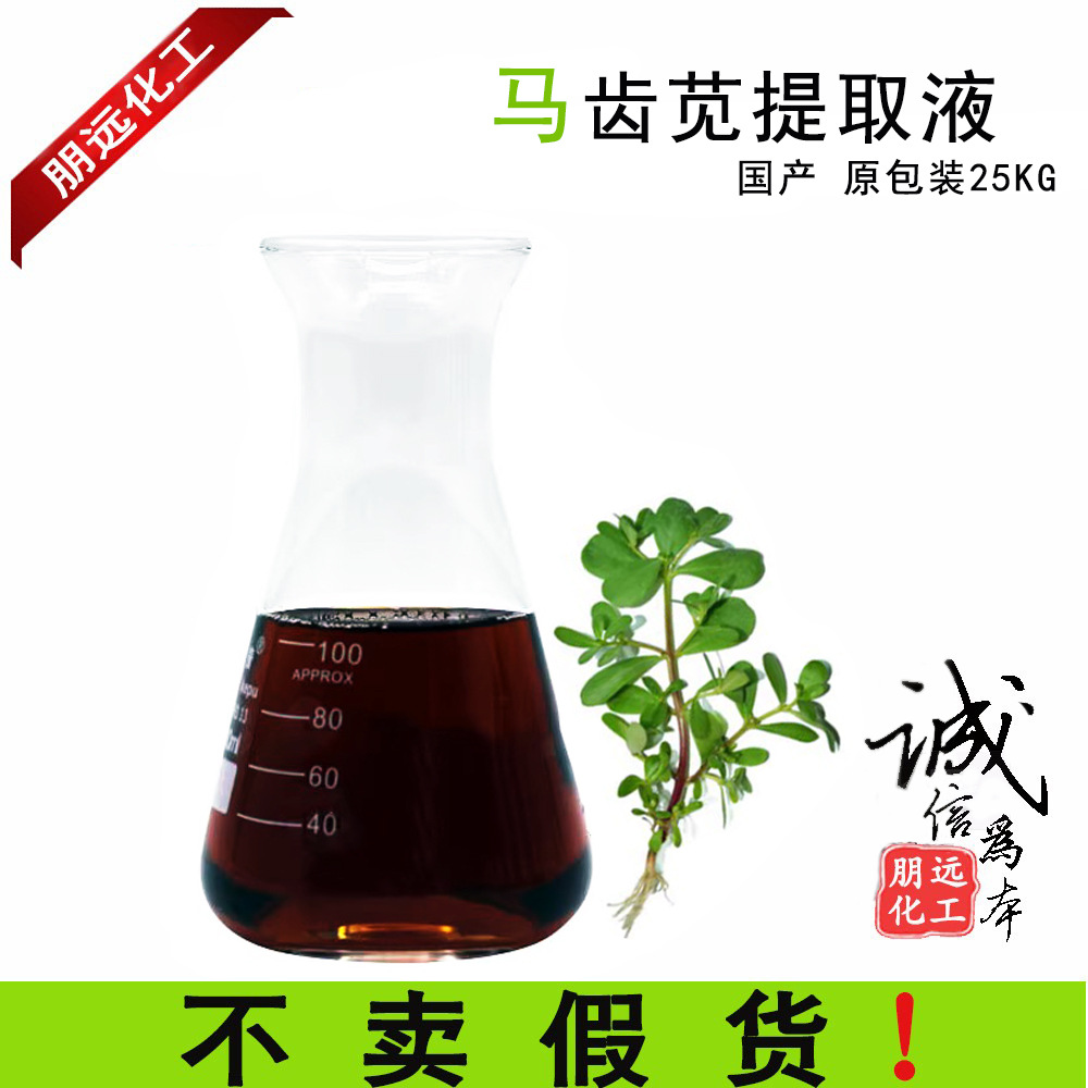 马齿苋提取物 马齿笕提取液植物萃取 国产天然化妆品原料广州朋远