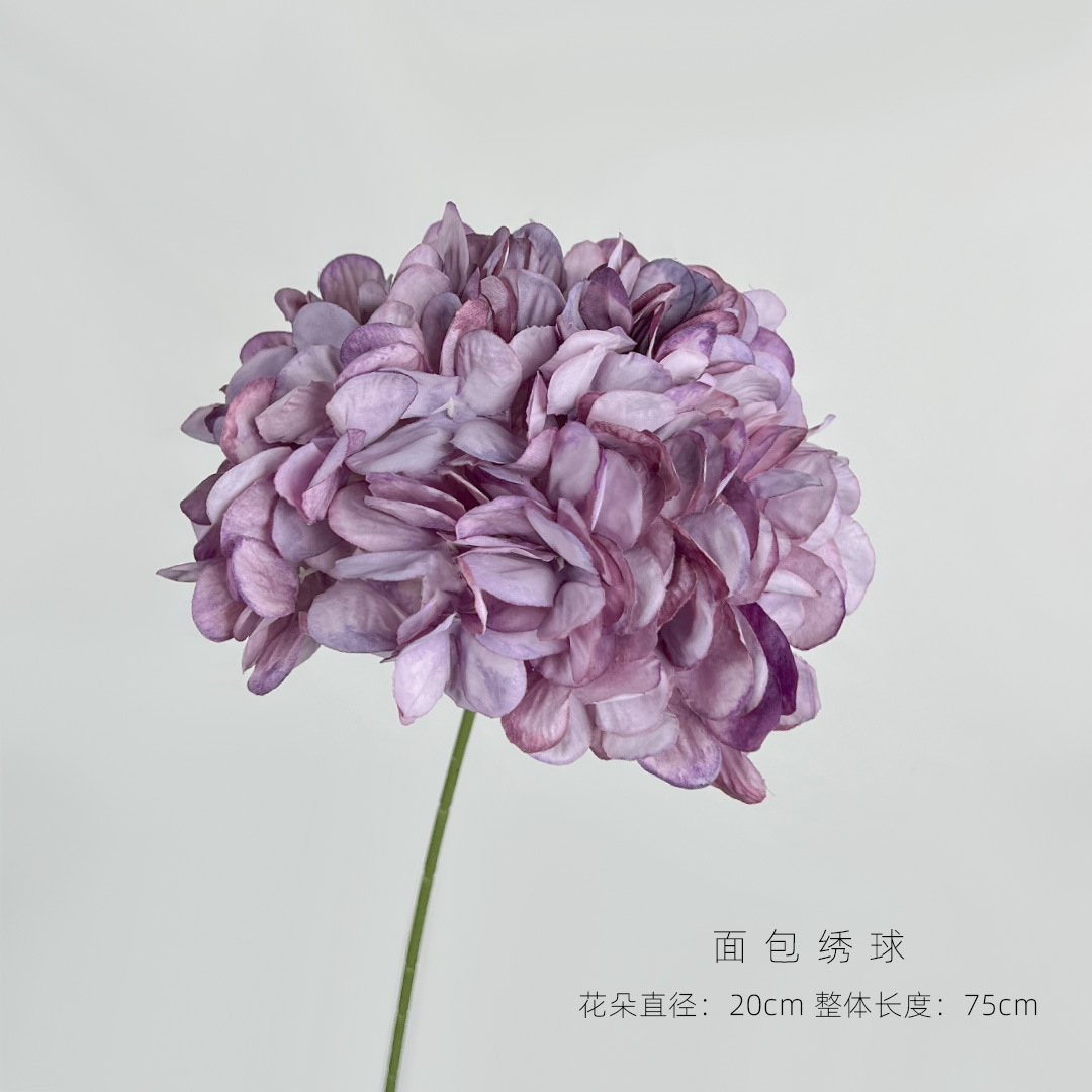 紫色.jpg