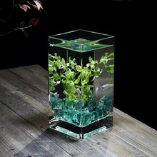 加厚方形桌面玻璃鱼缸水培花瓶长方形一体缸高透亮斗鱼缸观赏性缸