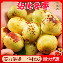 正宗山东沾化冬枣5斤整箱新鲜水果当季10批发包邮3非陕西大荔大枣