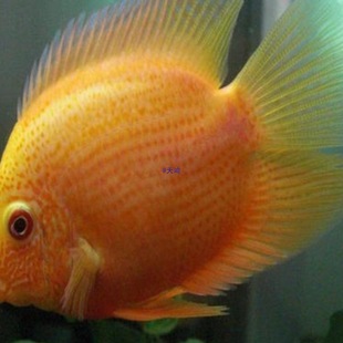 ���c���}�~���w�����~�Ꭷ�^�p�~�����~��ˮ�~���~���~