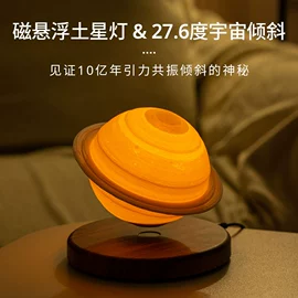 塑料工艺品;展示架;其他装饰摆件