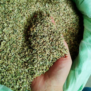 С������]250gСȝ�����r�N��ɢ�b�a��؛Դ�F؛���l���CС�����