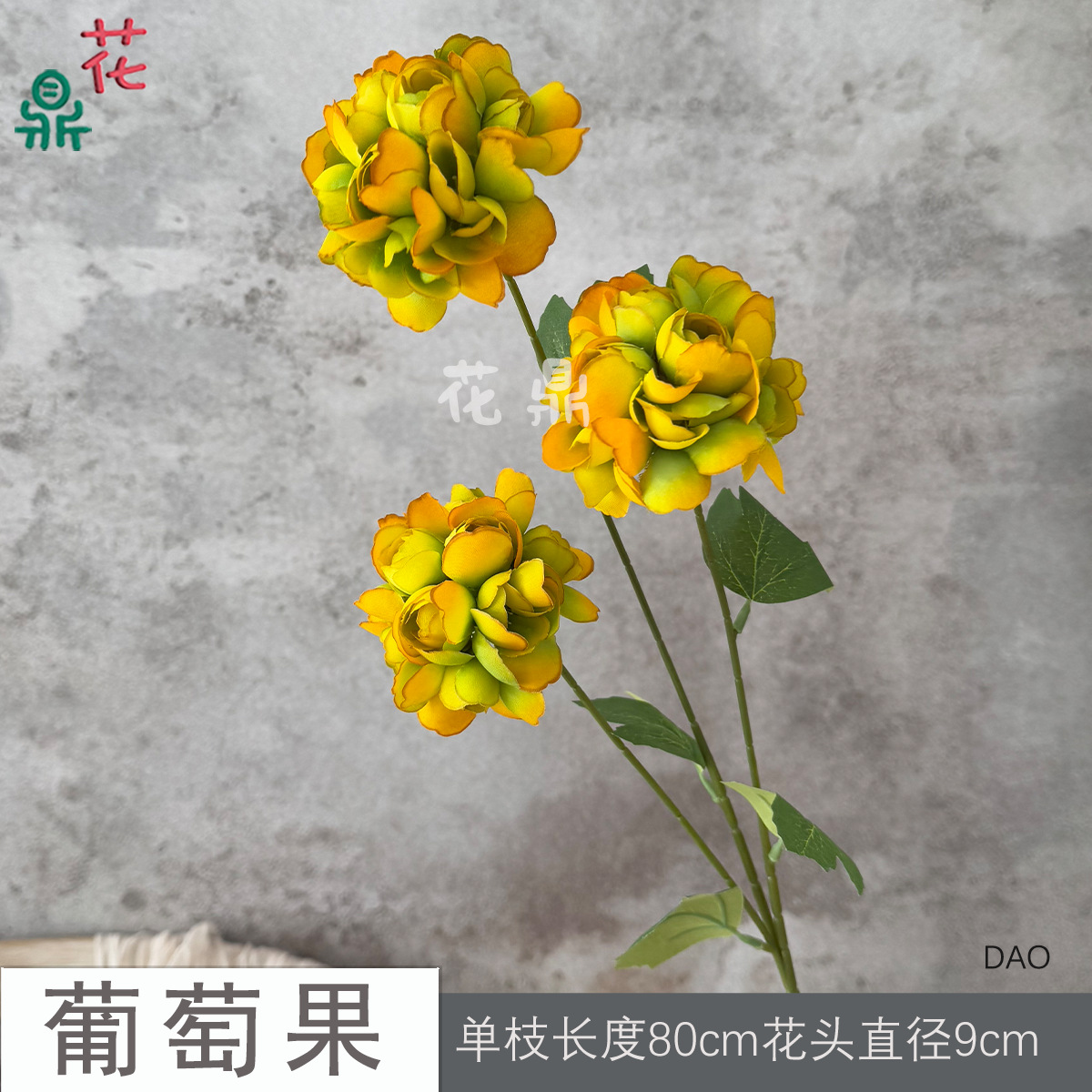 Bưởi DAO Vàng
