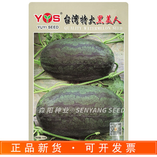 ԥˇ̨���ش���������ϷN������������Ƥ���Ϻڹ����Ӵ���߮a