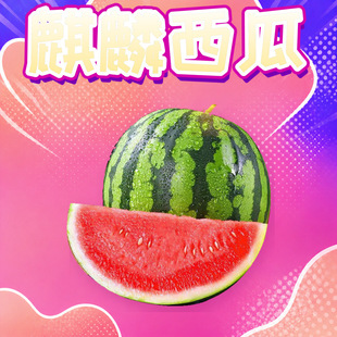 ����������� ���l3-4/4-5/5-6/6-7/8-9��ɳȿ��Ƥ�������rˮ��