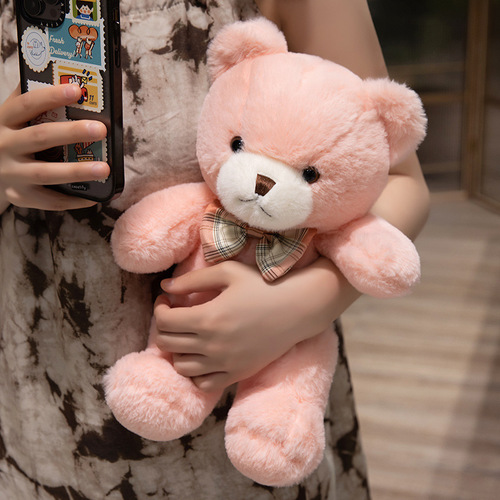 2024 New Cute Teddy Bear Plush Toy Teddy Bear Figure Hug Bear Fuzzy Toy Logo Customizable for Small Orders