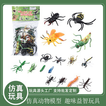 跨境仿真昆虫玩具蜜蜂蜘蛛甲虫模型玩具儿童动物模型科教玩具男孩
