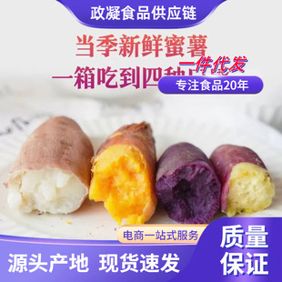 �V���������r�F���r����ɫ����ܛŴ�خa����������^�عϰ��]���l