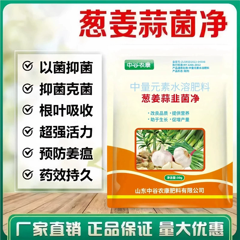 Лук, имбирь, чеснок, петрушка, сушеные кончики, желтые рулеты, сушеные листья, грибы, мягкая гниль, стебельная гниль, пыльчатый пар, густые зеленые и блестящие листья, листовая подкормка.