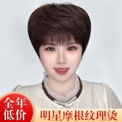 中高年向けウィッグ、フルヘッドカバー卸売、サイド分けテクスチャー、高級本物の髪、気質ママテクスチャー、白髪カバーヘアカバー
