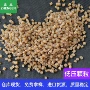 低压再生各种塑料再生料