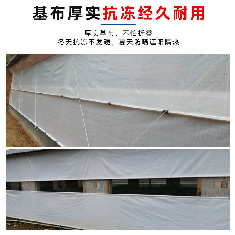厚いpe幌布透明ロール生地防雨防水日焼け止め防塵日除け貨物場シートカバー布ビニール幌布工場|undefined