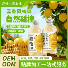 其他软饮料;植物油;果蔬汁