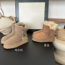 ɣº׵ͲTʿӿëѥ¿ëһwF۸ͲŮѩѥ