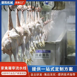 定制鸡鸭鹅宰杀成套设备肉鸡自动屠宰流水线活鸡宰杀掏脏冷却设备