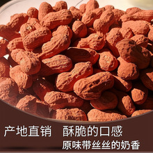 福建产龙岩花生旗舰店红泥香酥味奶香500*2袋 产地直销咸干包装