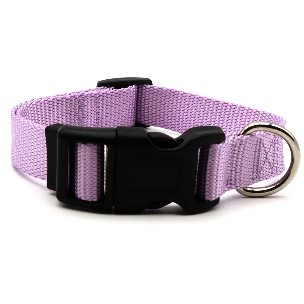 Suministros para mascotas collar perro correa de entrenamiento para perros suministros macaron color Doble D Hebilla correa de perro ajustable