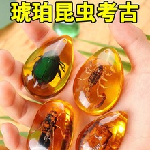 厂家批发昆虫琥珀礼袋标本琥珀蝎子蜘蛛知了虫珀礼盒原石儿童科学