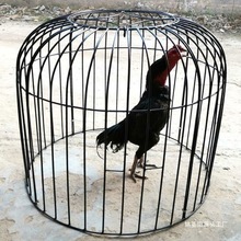 斗鸡鸡笼笼子家用折叠大号铁笼铁笼子钢筋训练组装单层用品