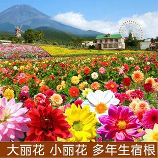 ��ɫС�����N��С���մ������N�Ӿ��^����ͥԺ�̨���N�������ذ�