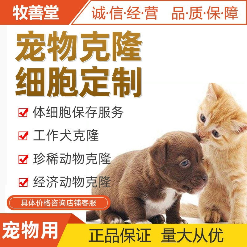 Услуга клонирования домашних животных и сохранения соматических клеток. Экономичные животные, рабочие собаки, редкие животные — все поддерживают эту услугу.